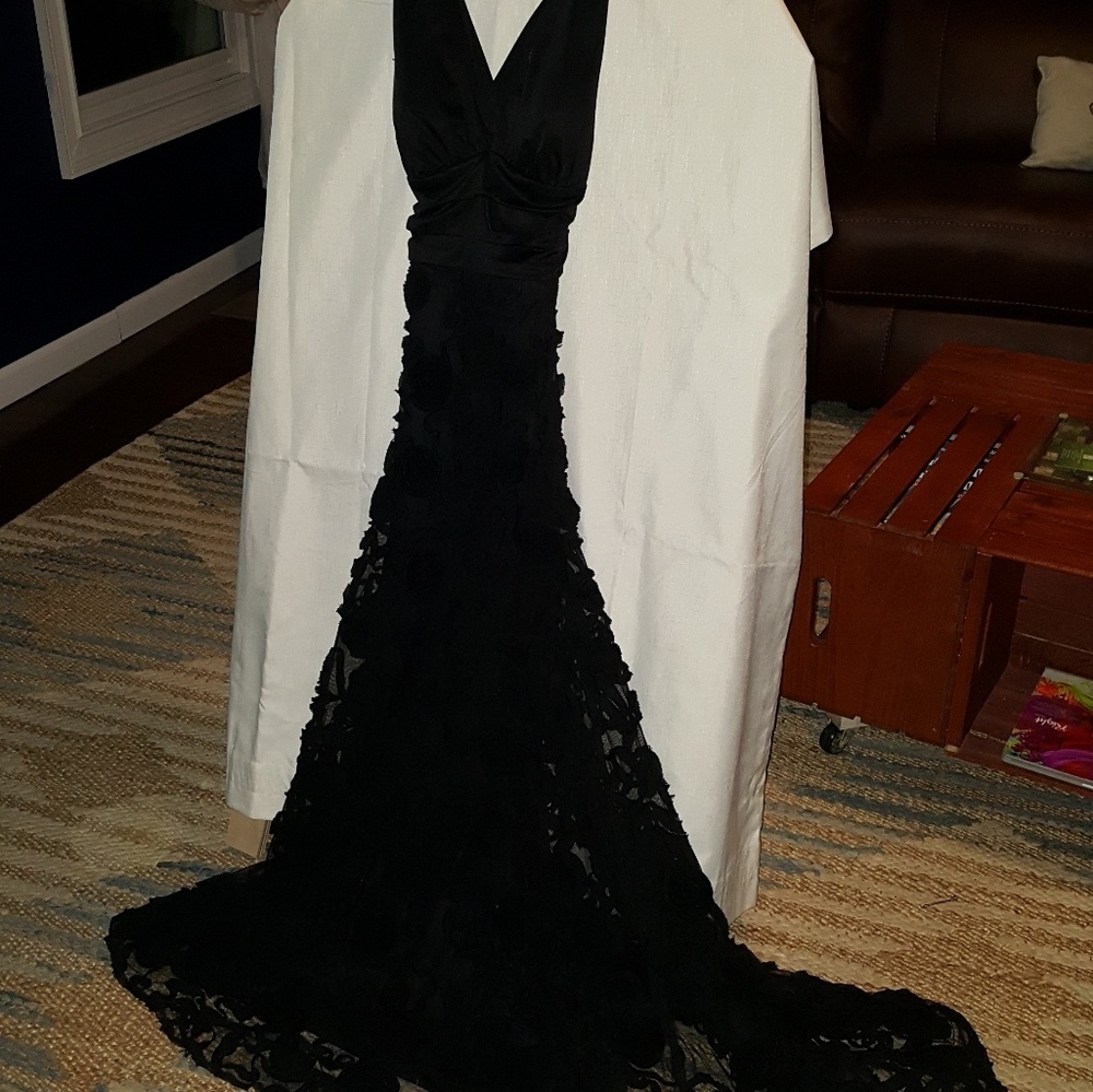 Evening gown/ prom/ homecoming